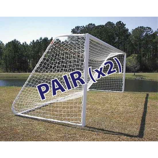 Channel Series Goals Pair for Professional Use