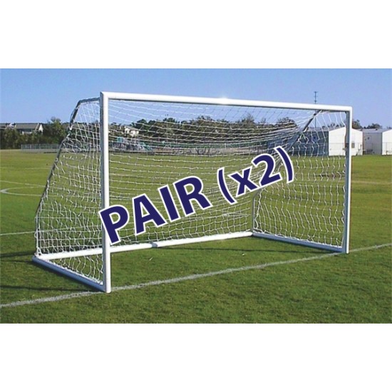 Park Series Goals Pair for Professional Use