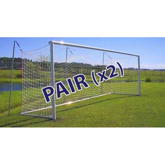 World Cup Goal Pair for Professional Use