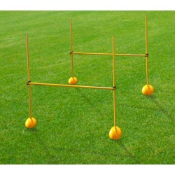 Agility Poles (Set of 4)